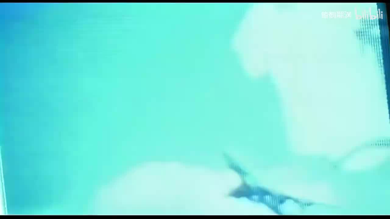 01.飞机场的10：30