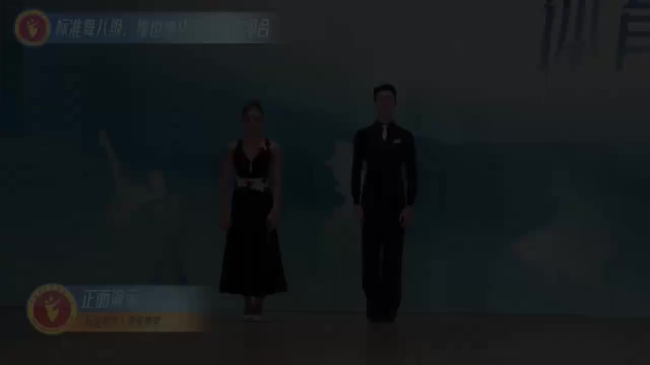 27 标准舞八级：维也纳华尔兹动作组合