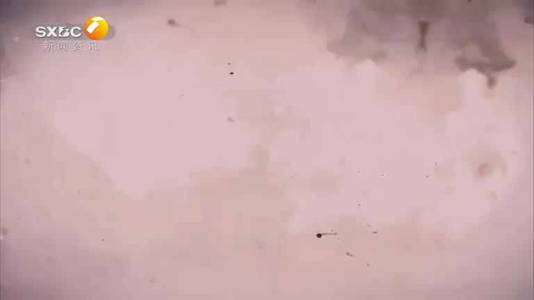 2025-04-14)---陕西网络广播电视台