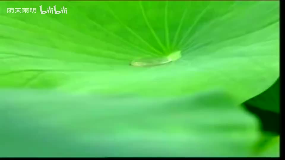 民间小调《刘拐脚》04 陈良福 卢玉萍