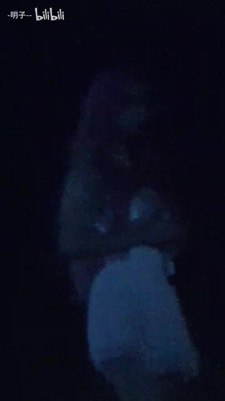 《我的美丽》《八月号》