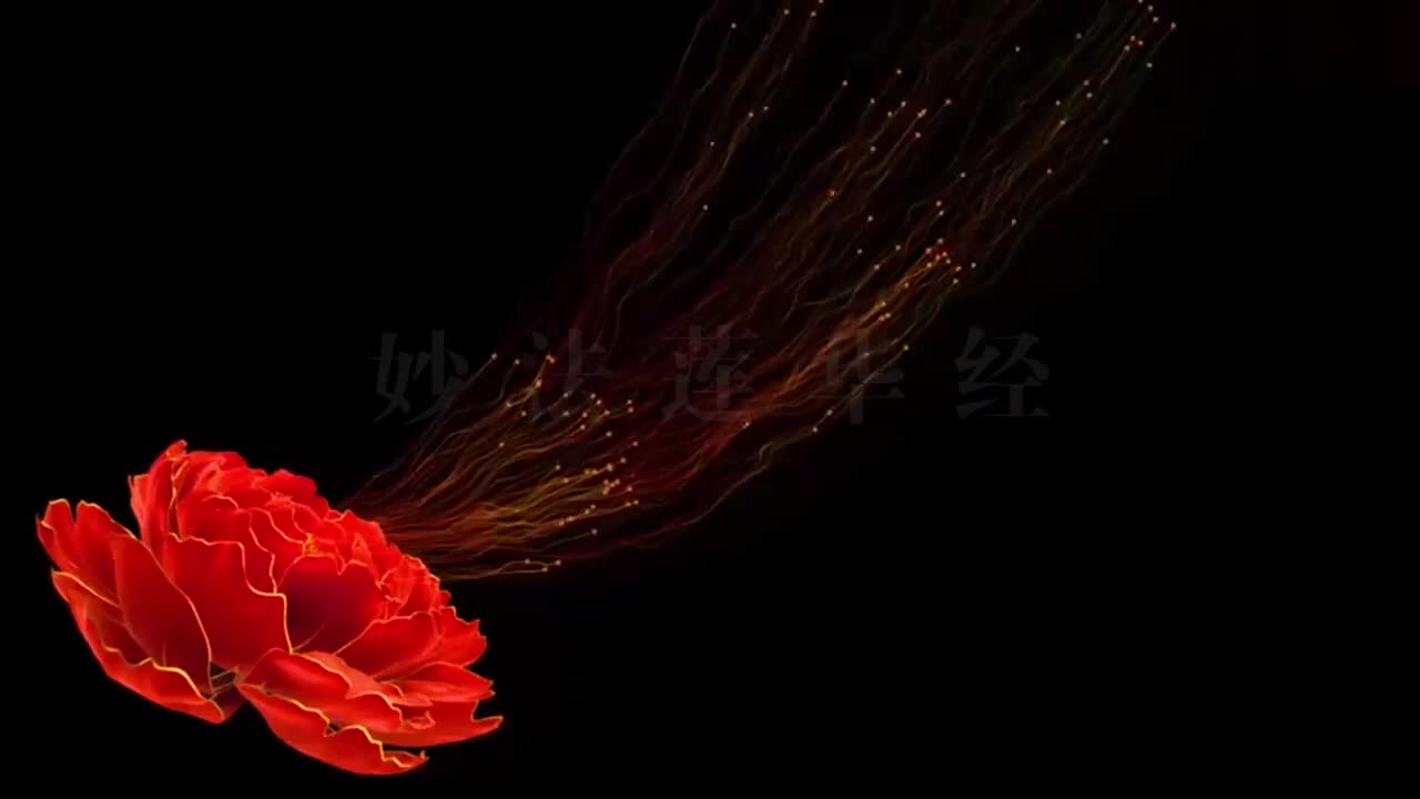 05 卷第五 安乐行品——分别功德品