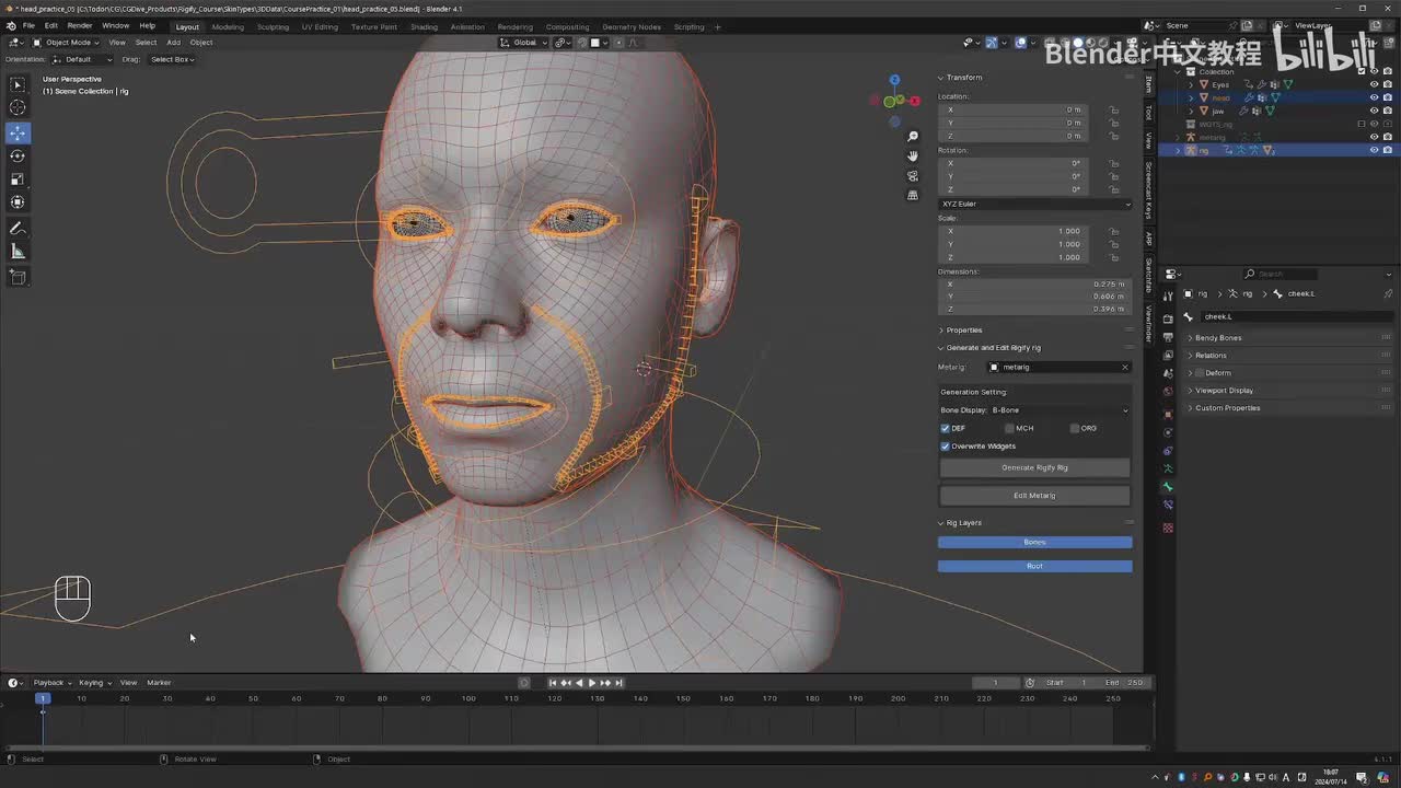 第2章：P3 耳朵、鼻子、下巴