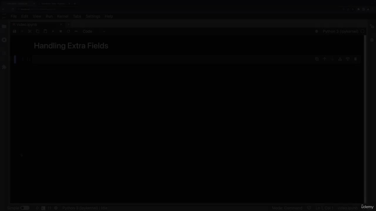 2. Handling Extra Fields