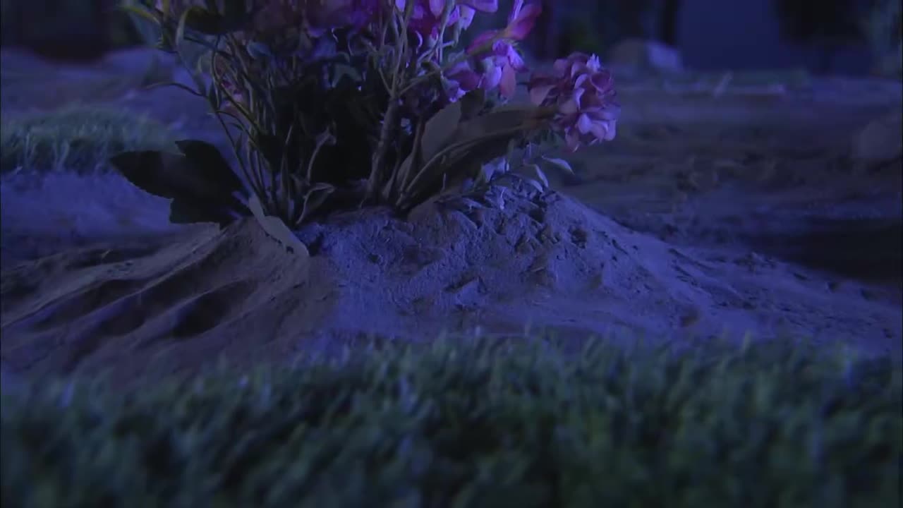 第十七集（5）为啥刜伐单集这么长