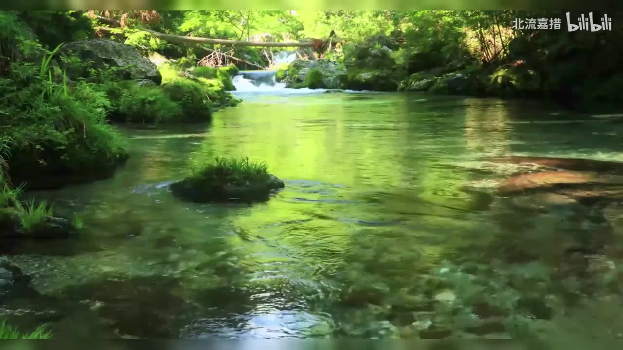 The Magnificent Seven-Elmer Bern