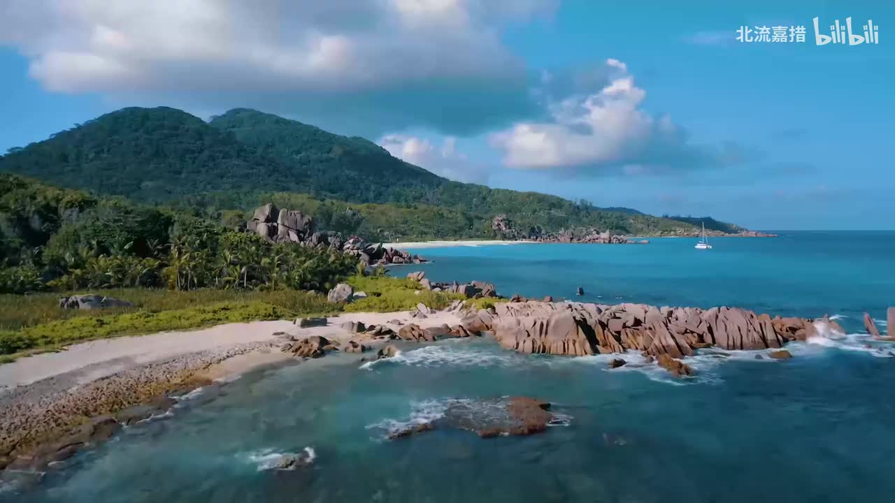 茶烟清扬落花风-华语群星