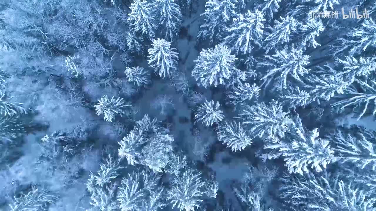 第33个街角转弯-董运昌