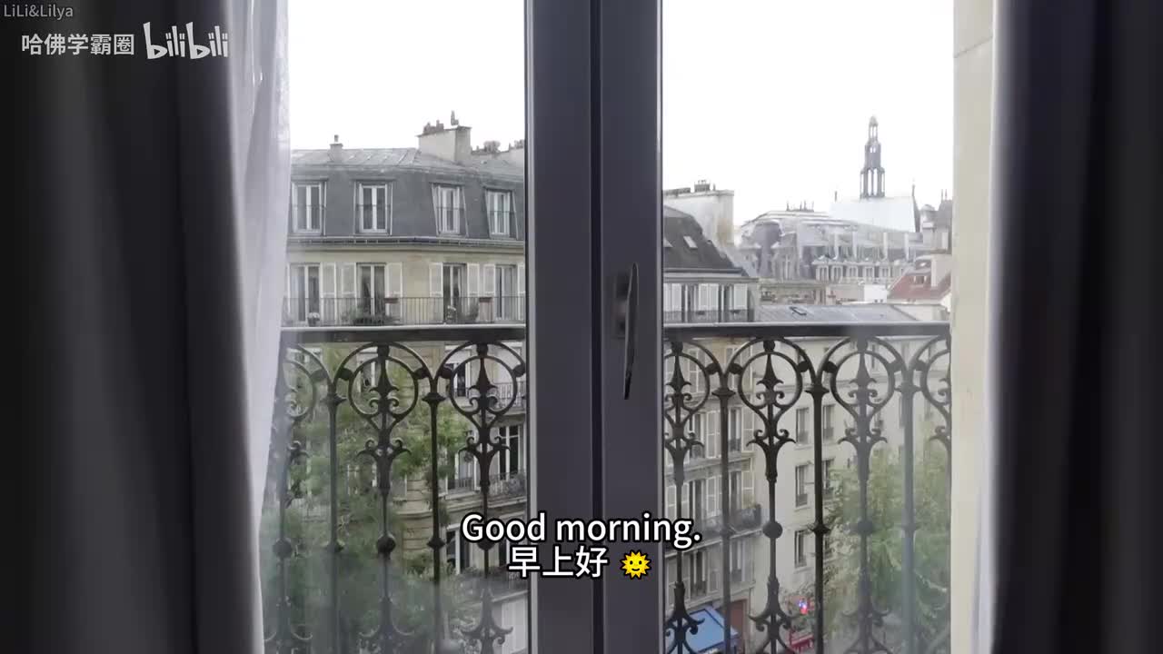 055-He proposed in Paris!!