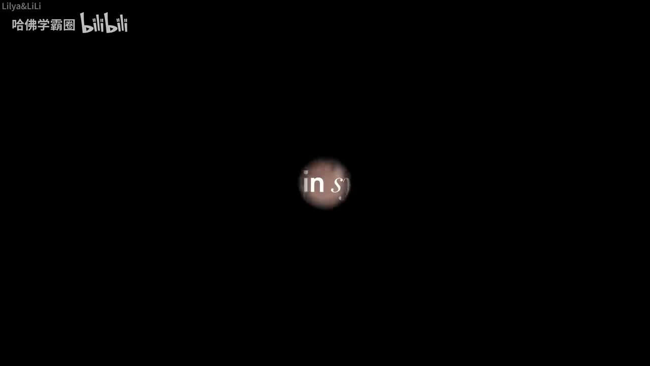 041-Days in sydney dog sitting, moving apartments & new friends