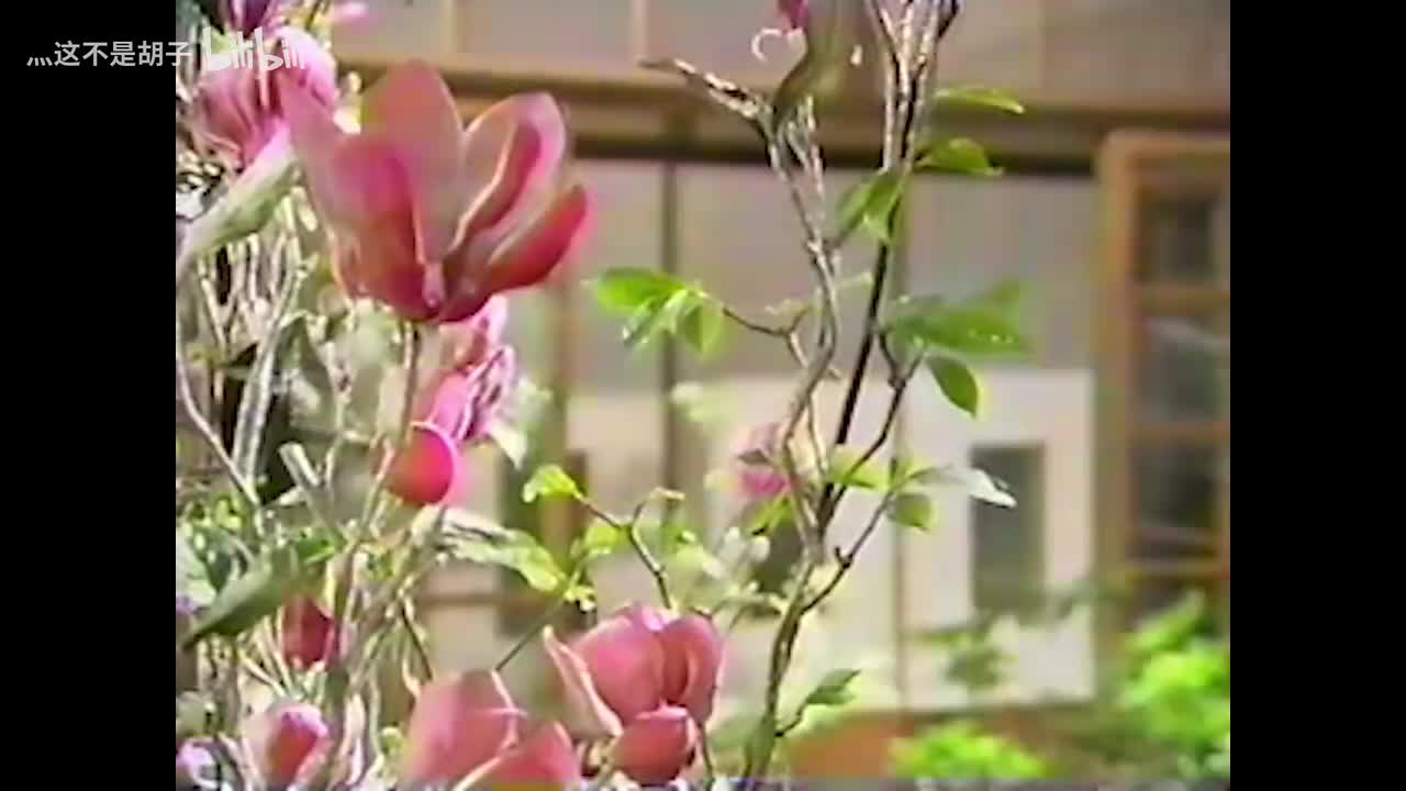 ①ユリコちゃん（早饭）