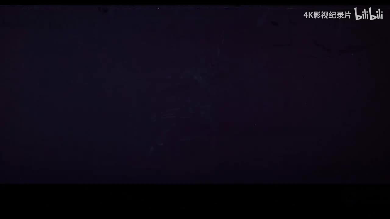 莫斯科保卫战1普通话