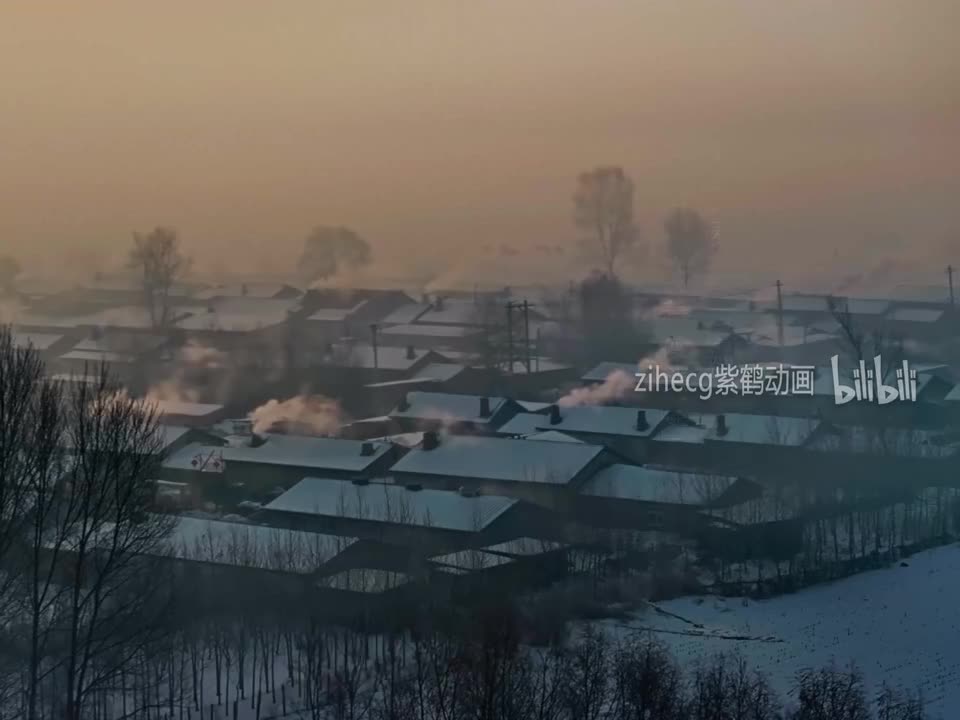 中国广告影片金狮奖2024(5)