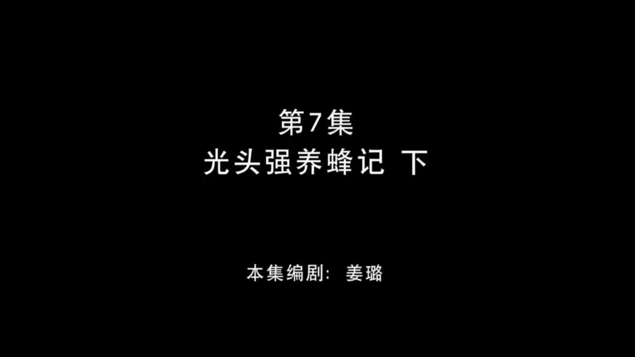 光头强养蜂记 下