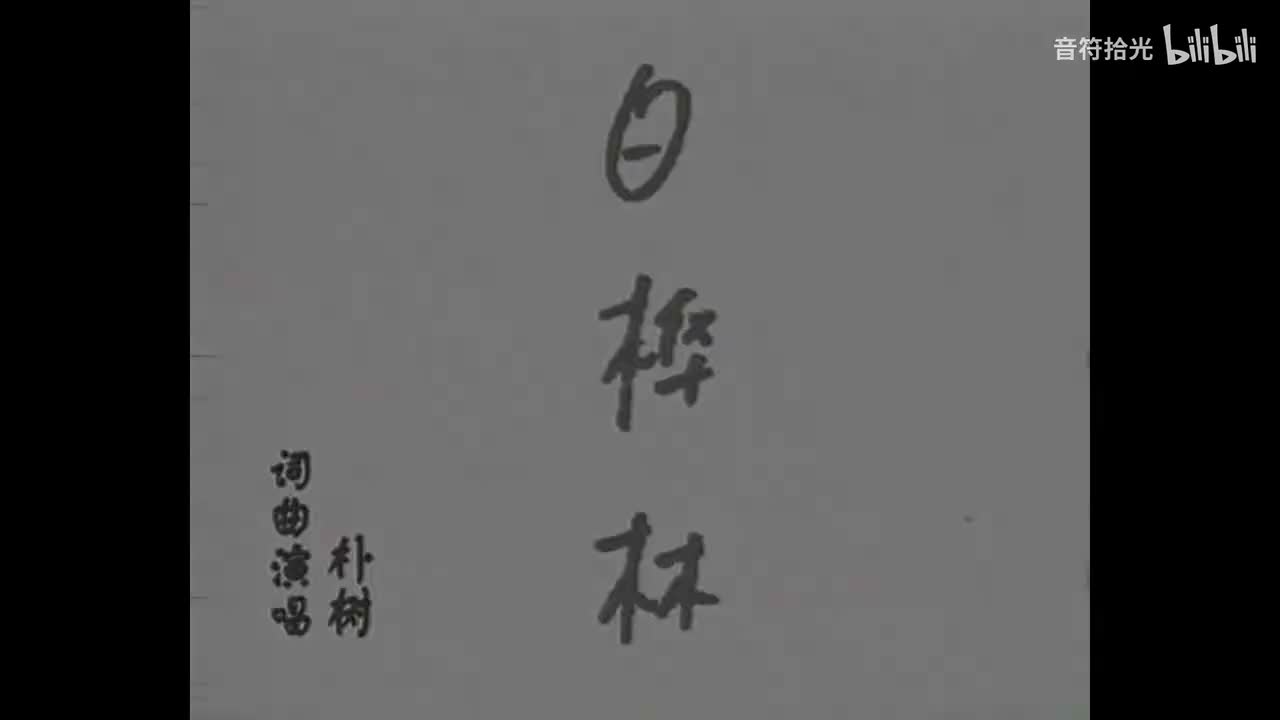 白桦林 - 朴树