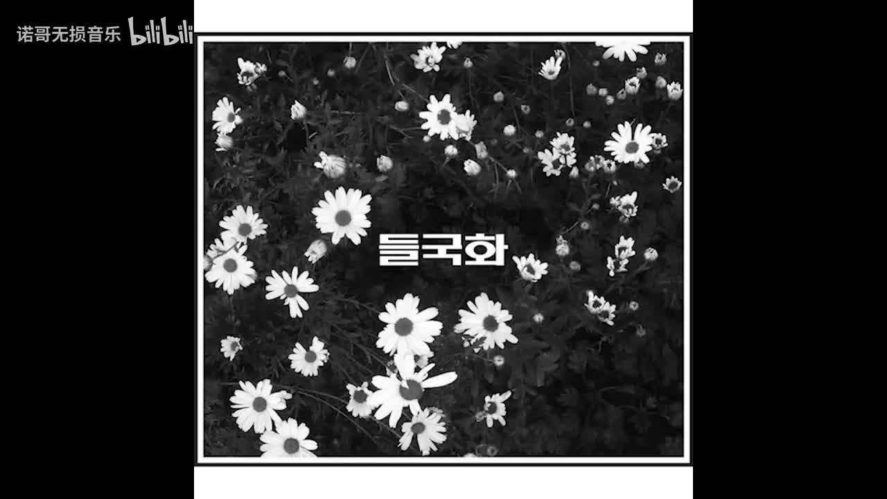 野菊花 - 你不要担心 和声伴奏