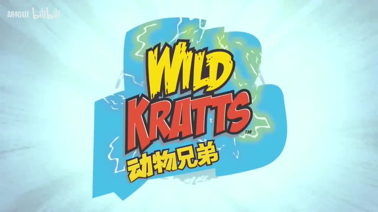 金色的金丝猴上