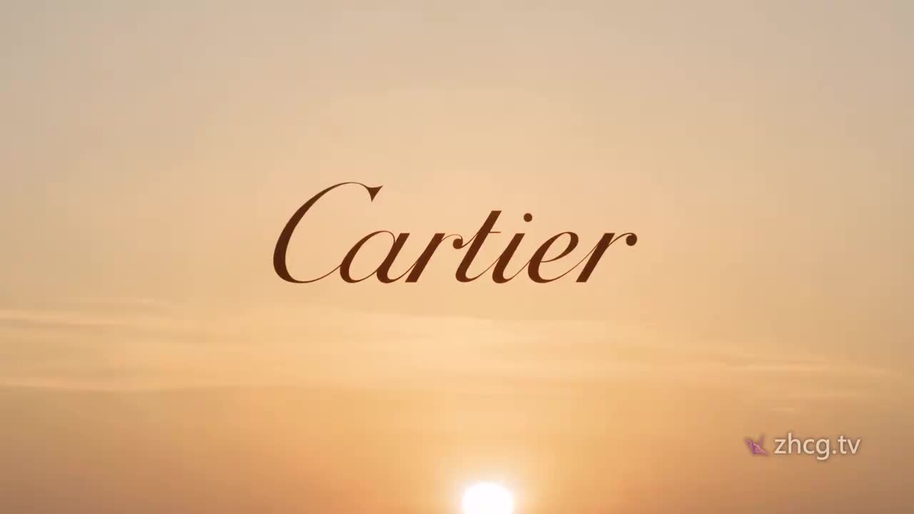 STASH 美国2025年5月171期 1080P VFX 电视包装、广告创意、动画(10)