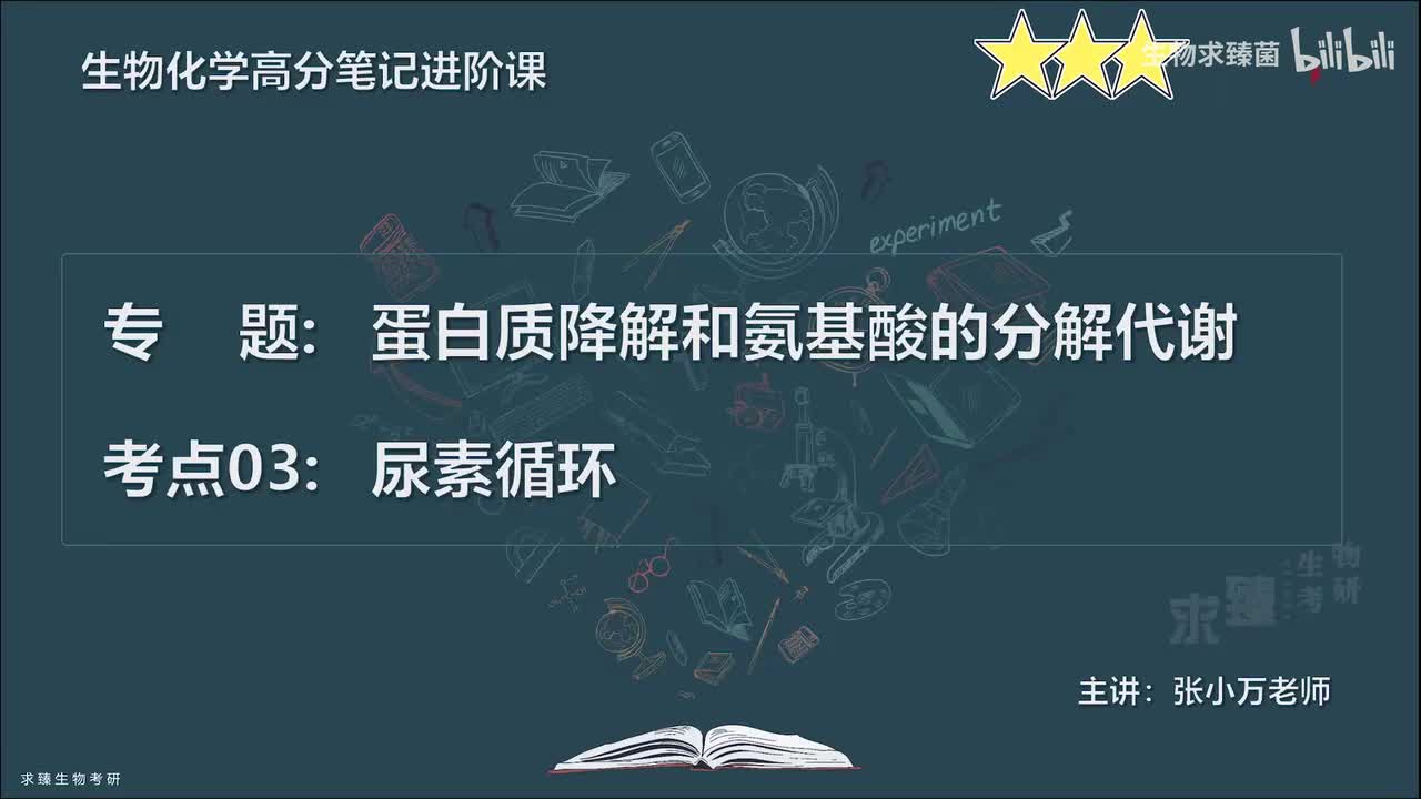 [专题25] 考点03：尿素循环