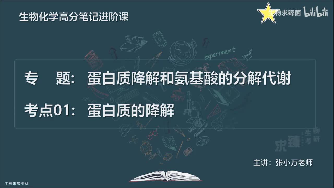 [专题25] 考点01：蛋白质的降解