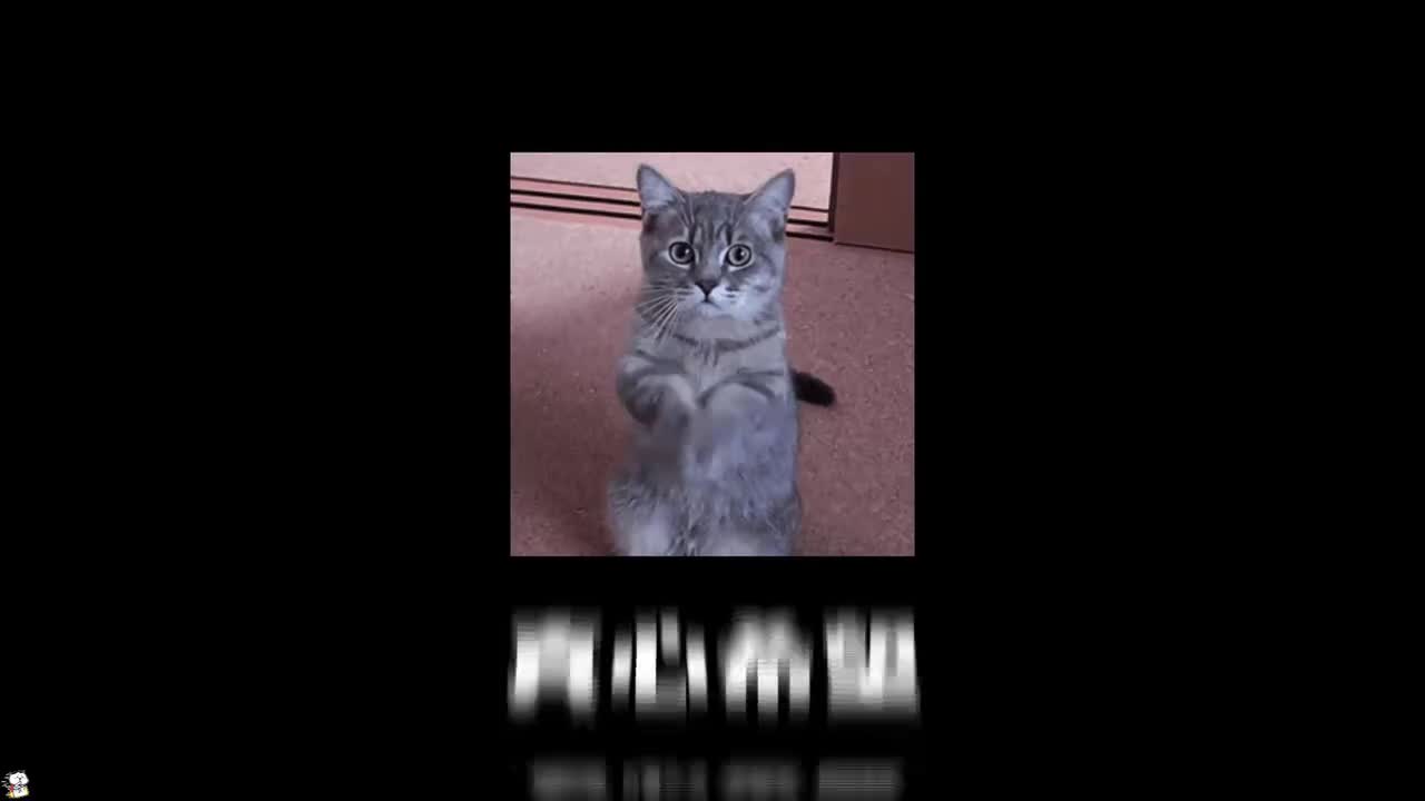 【课前导学】Python从0到1学习指南-图灵Jack老师