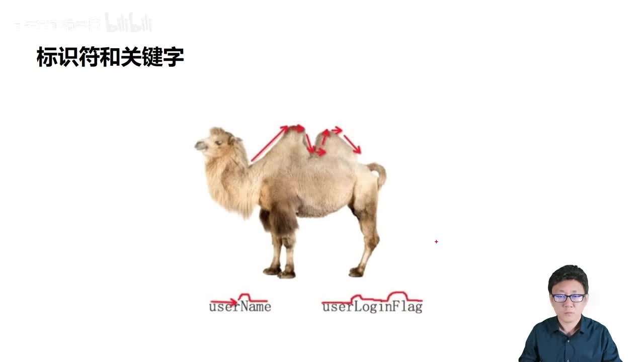 016_Java教程_标识符_关键字_驼峰原则
