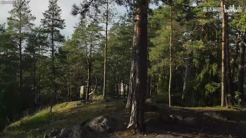 21-Stop Denying Your Potential and Start Being Your Authentic Self