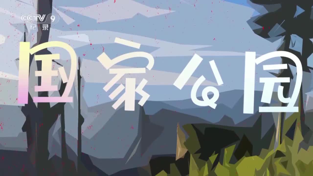 第8集：秦岭羚牛