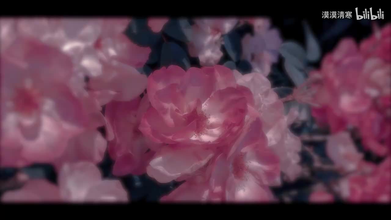 【动态歌词排版】岁月里的花-莫文蔚 | “牵你的手啊 在岁月种下鲜花”