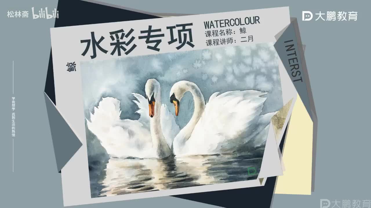 005-【第4节】鲸