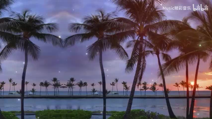 《夏天的风》《去有风的地方》《烟火里的尘埃》《雾与长风》