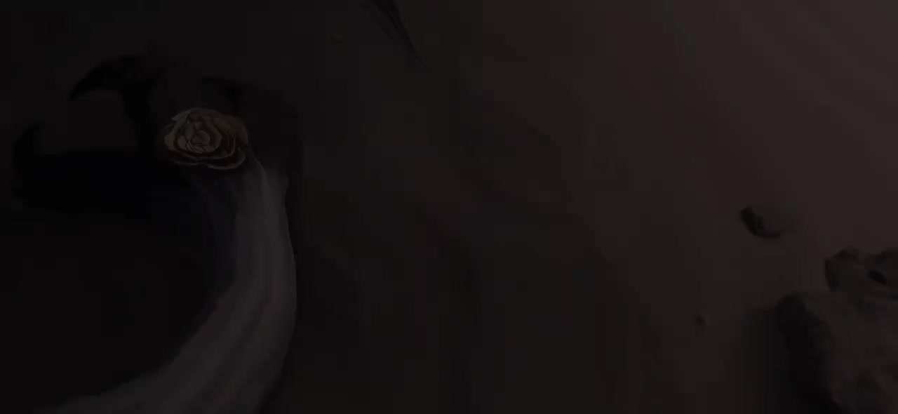 【日】《鸣潮》动画短片 | 天明