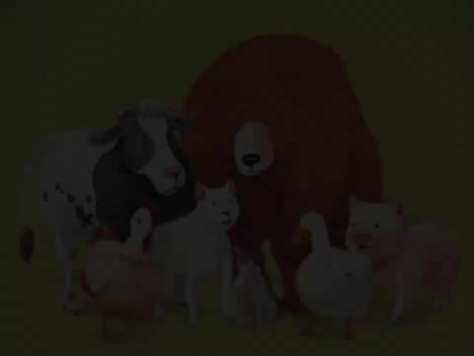 14 Did You See My Baby_