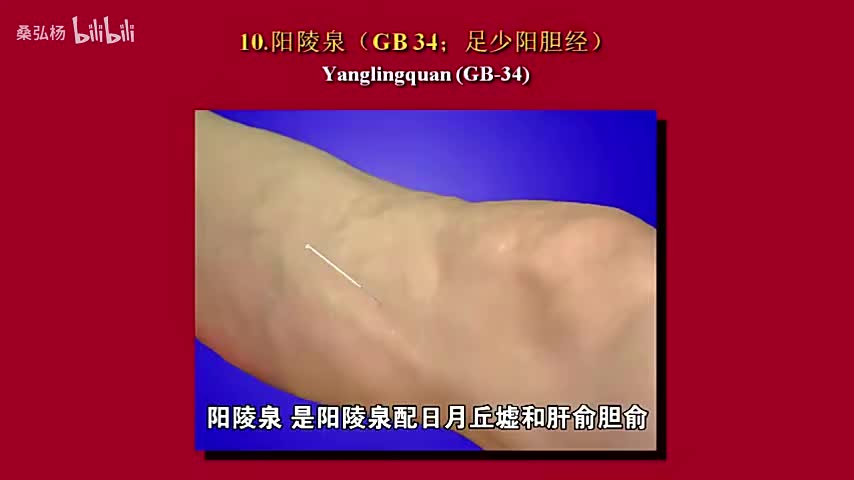 10阳陵泉穴
