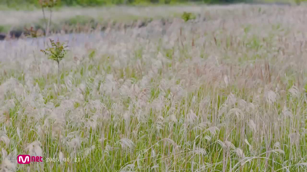 IU Never Ending Story MV