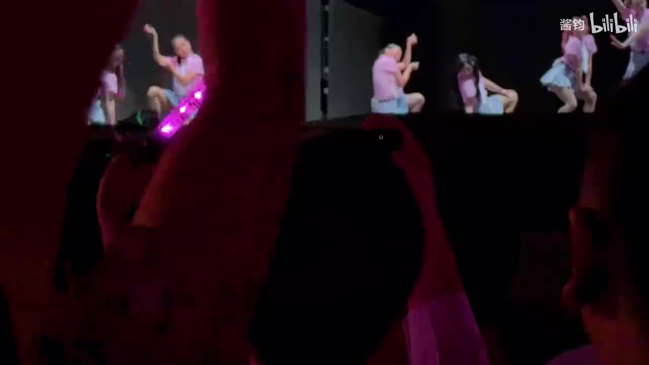 教海鸥飞行的猫