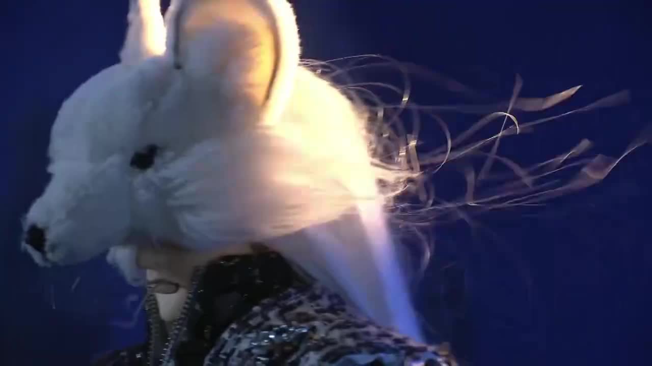 第三十五集（1）