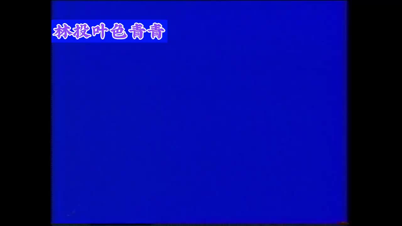 雪中红（布鲁斯）