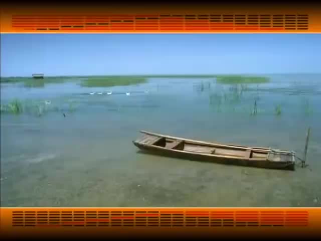 第107集_《易经的智慧》卦序44_姤卦_不期而遇