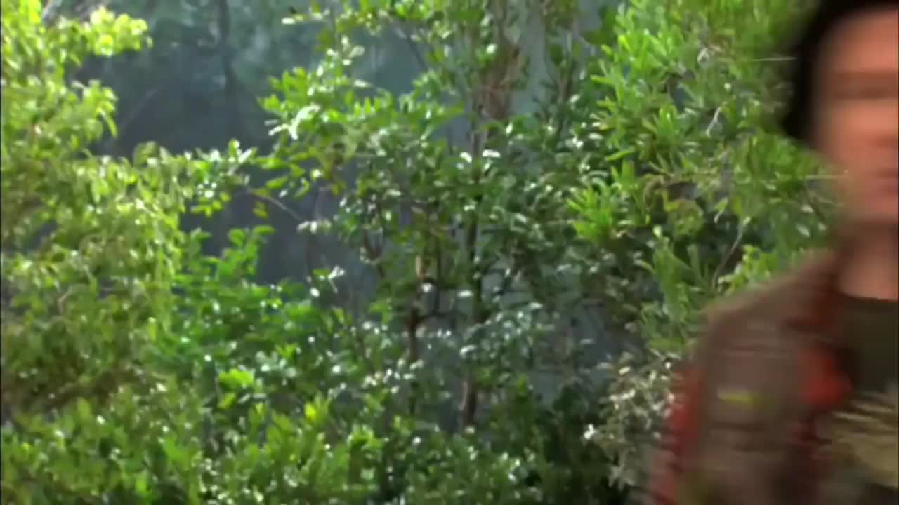 30.30【查莉E08.2】34句地道表达