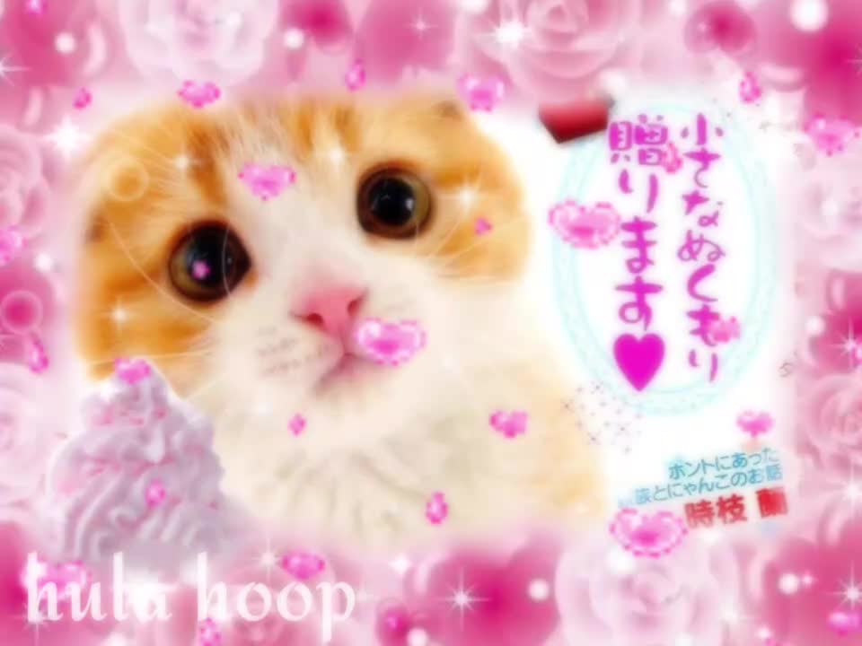 92　꒰ hula hoop !꒱ crunchy　︵　꒱