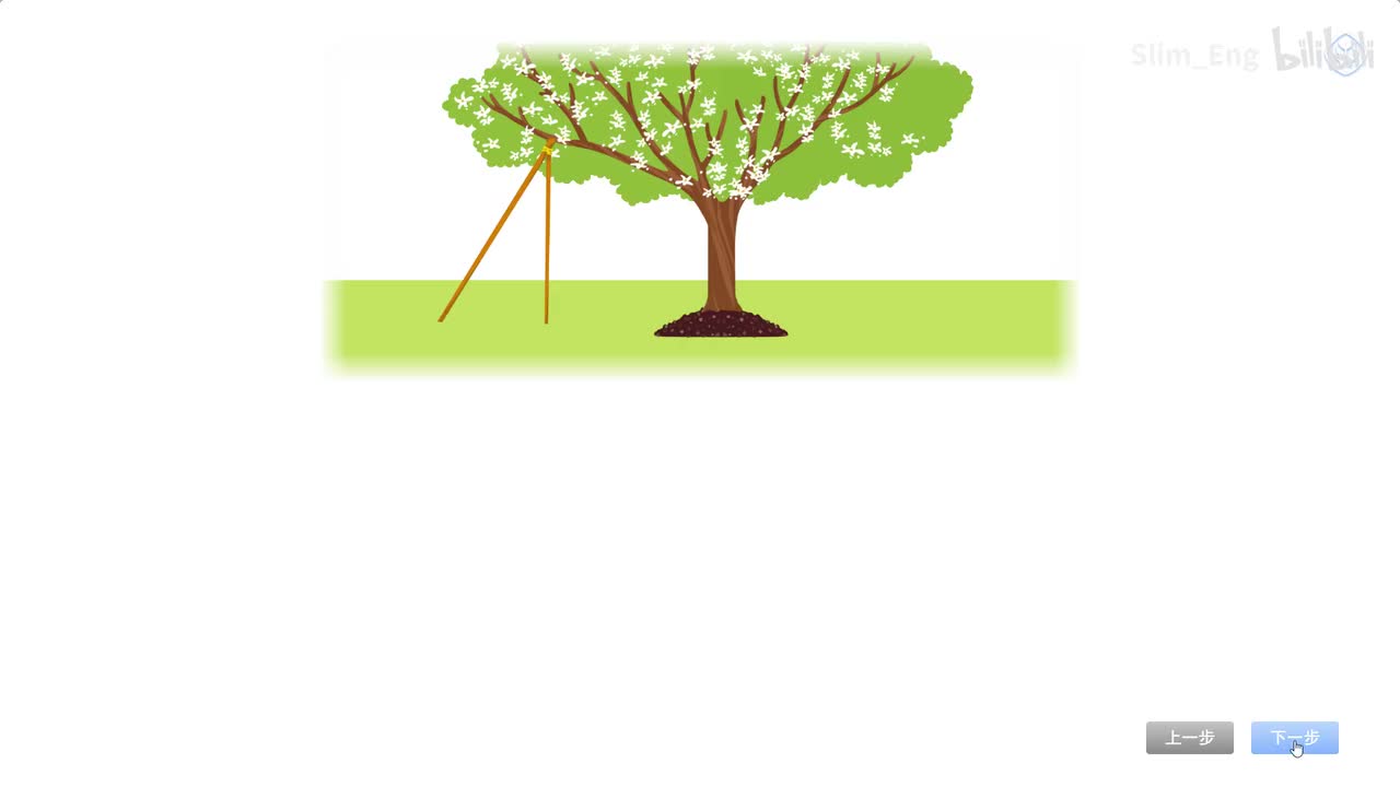 U4 P45 Start to read（动画）