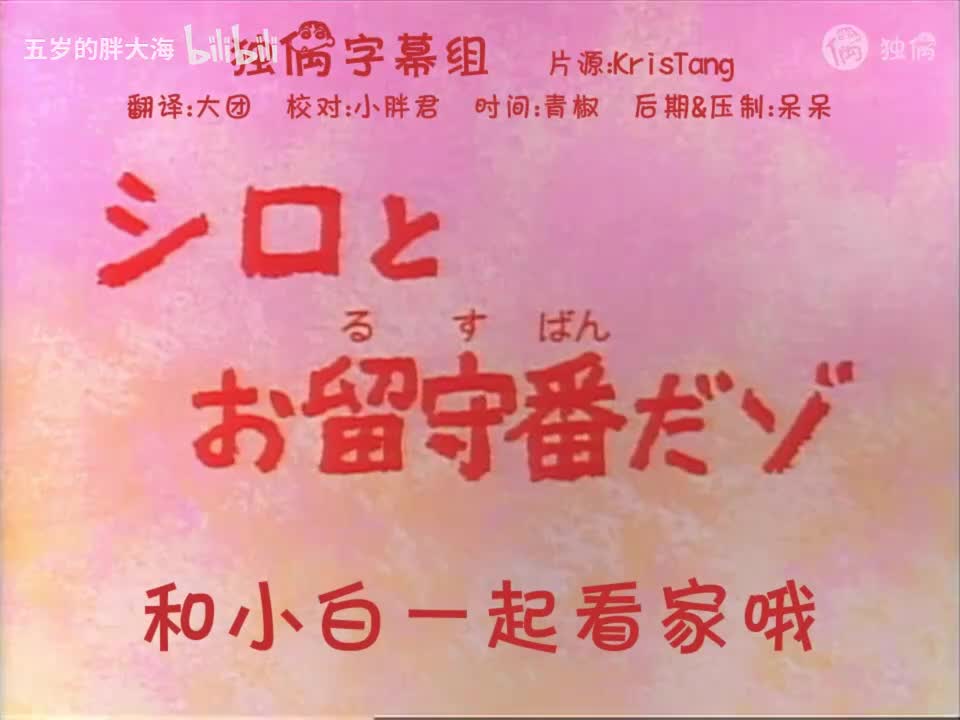 31.1和小白一起看家