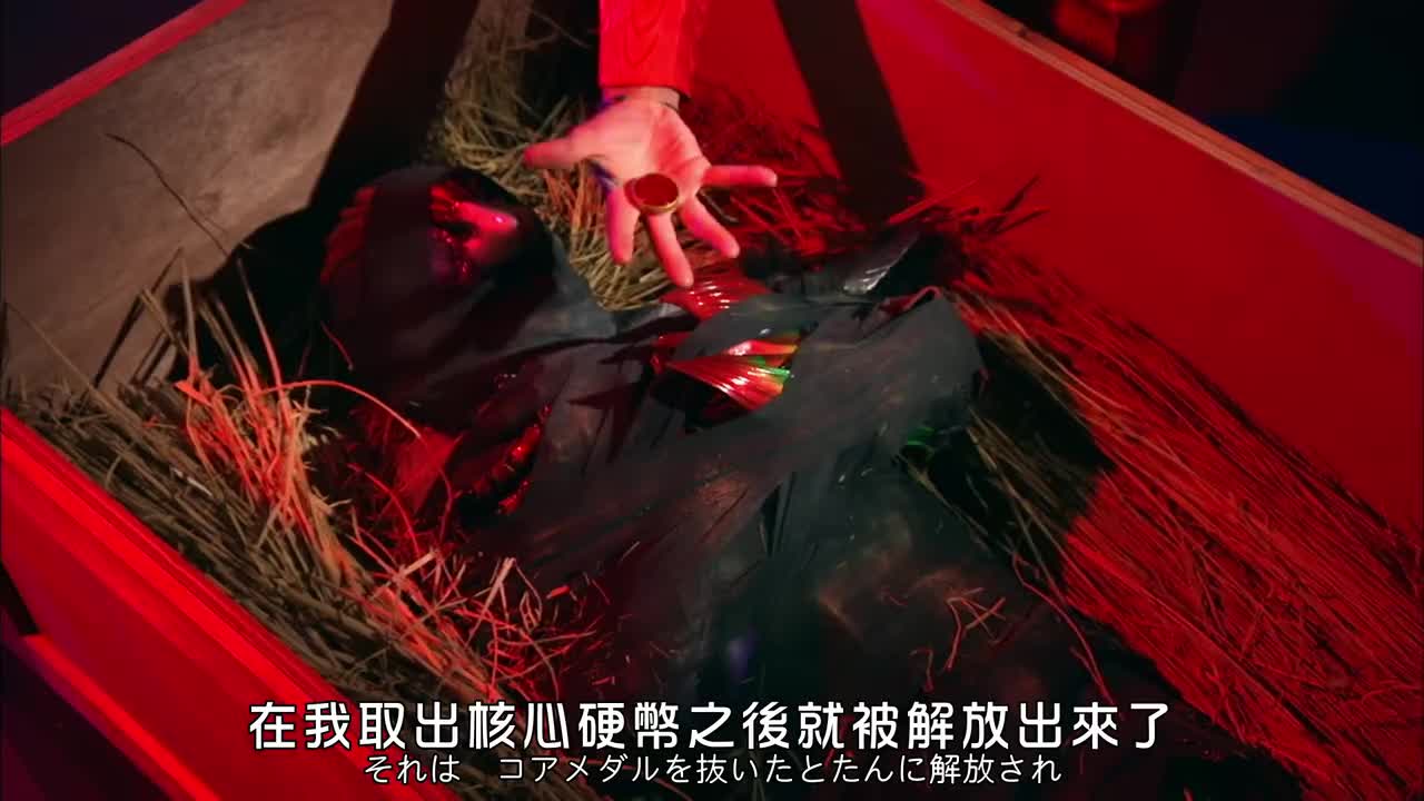 30 王和熊猫以及火炎的记忆 下