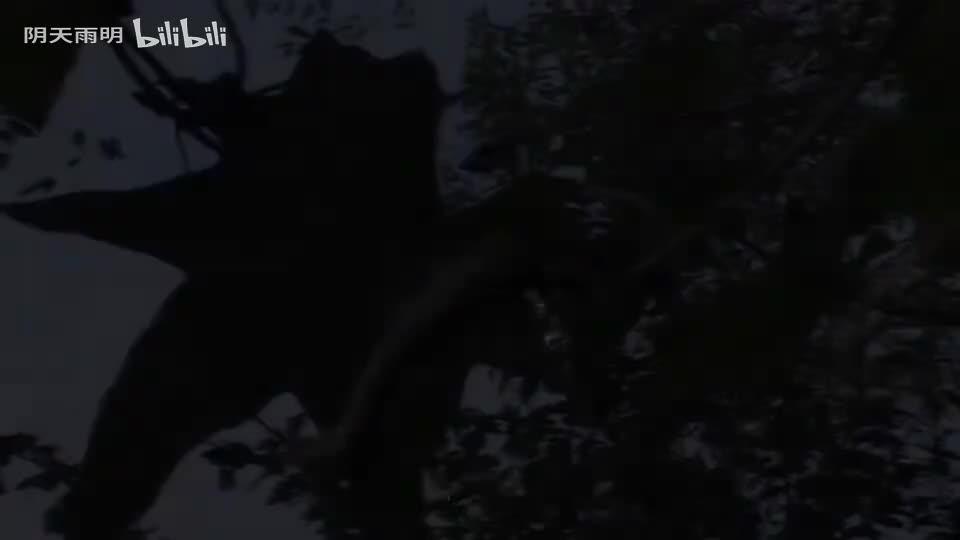 民间小调《恶媳妇跪婆婆》01 张丽 李发东 荆丽君 荆献鼎 孟献礼 曹四臣 潘大海 尹桂廷