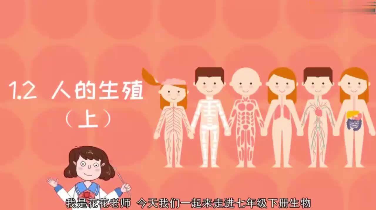 七年级（下）4.1.2人的生殖（上）