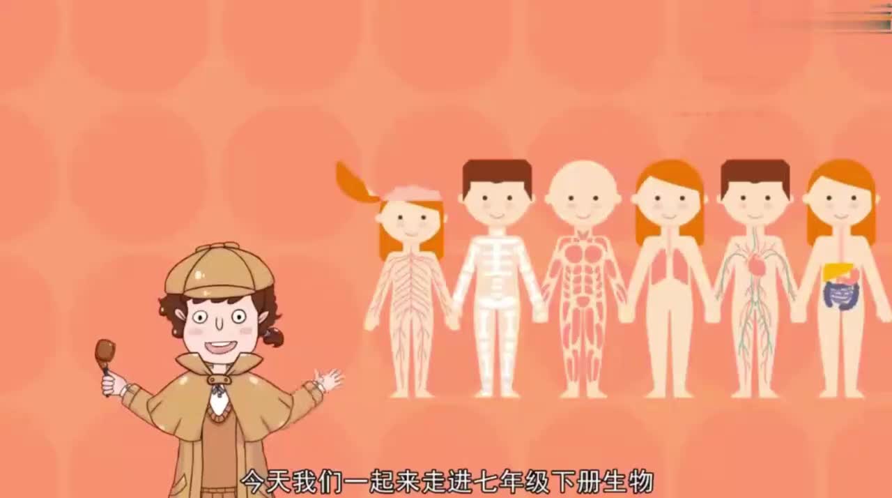 七年级（下）4.3.1呼吸道对空气的处理