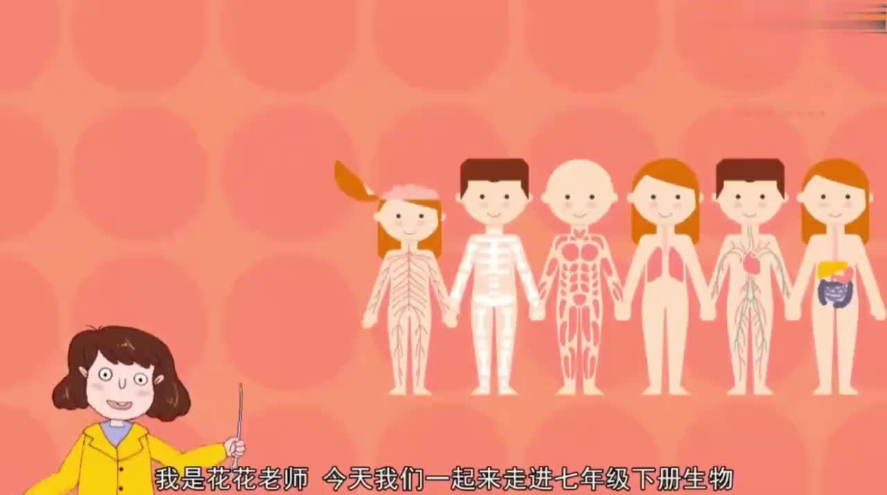 七年级（下）4.1.1人类的起源和发展