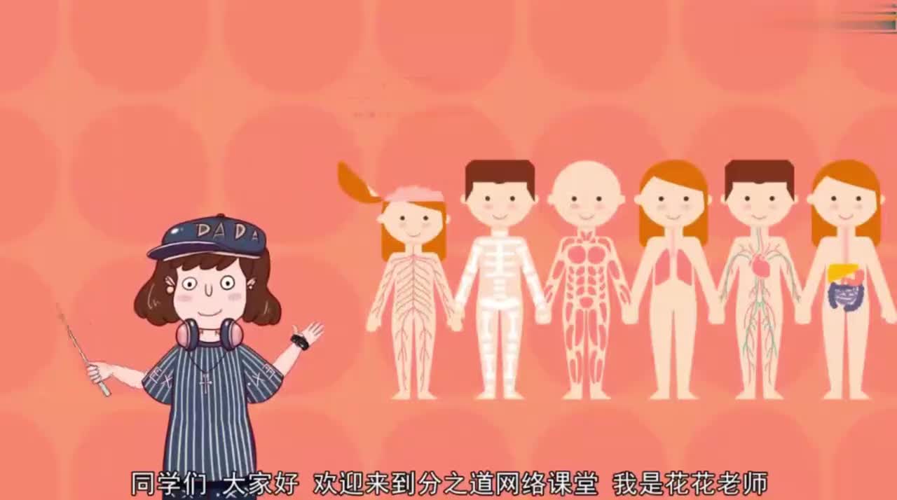 七年级（下）4.2.2消化和吸收