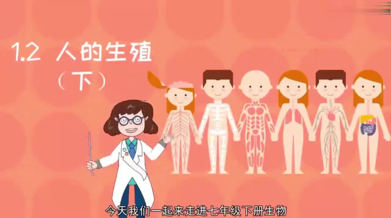 七年级（下）4.1.2人的生殖（下）